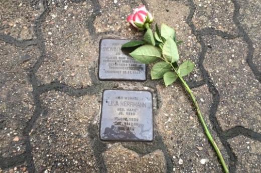 Zwei Stolpersteine auf der Straße daneben liegt eine Rose