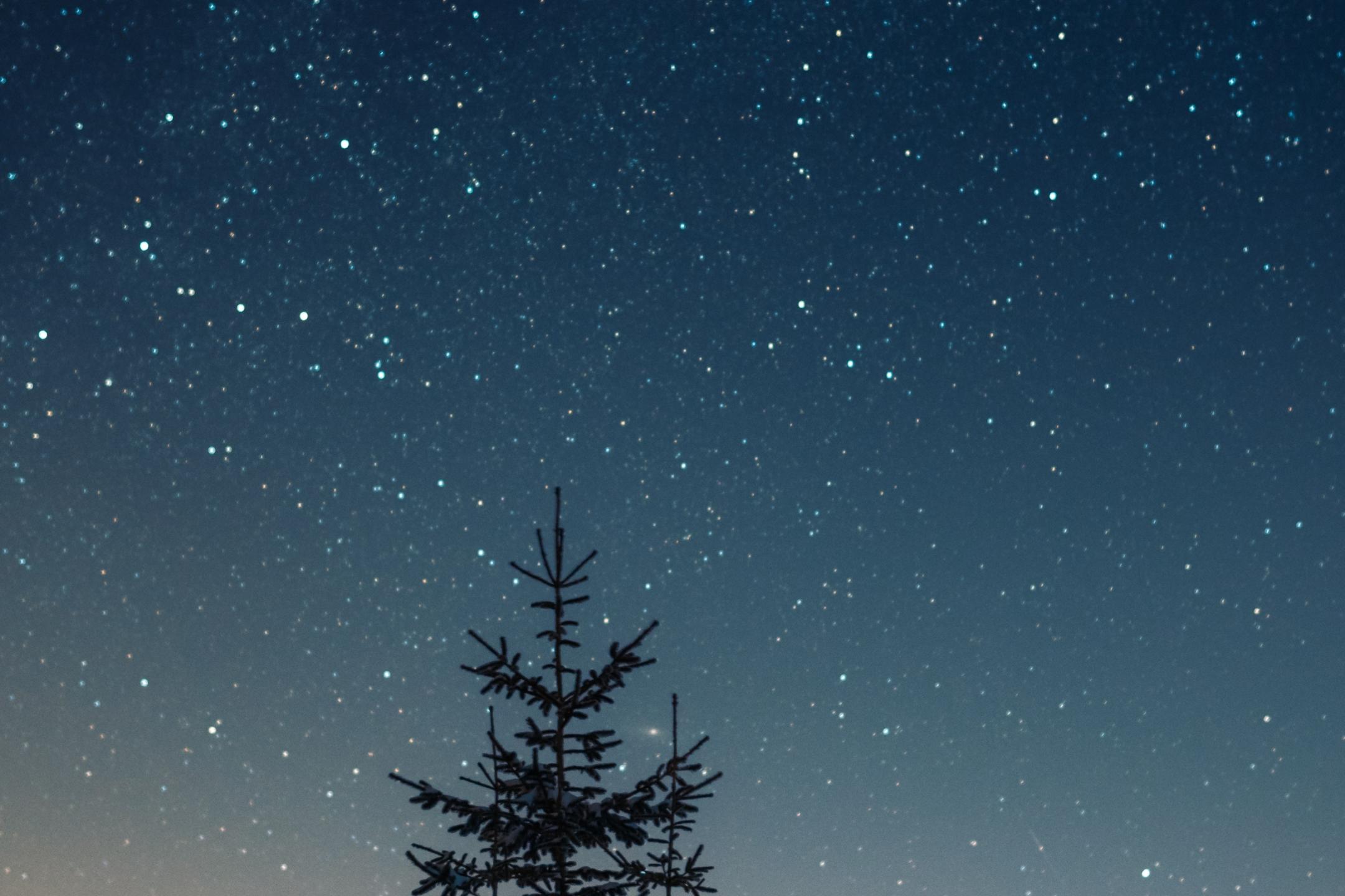 in Winterlandschaft einer dunkler Sternenhimmel