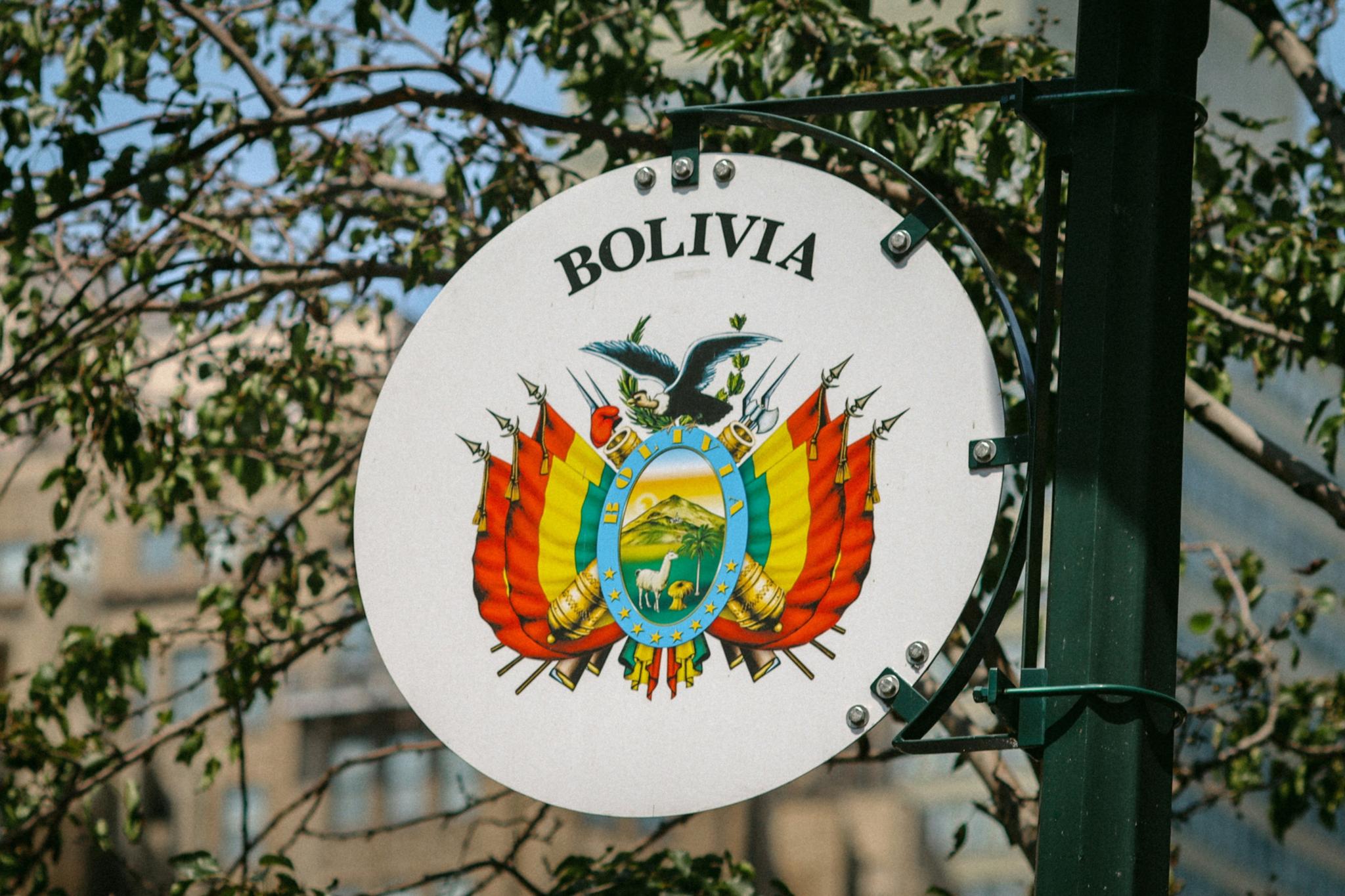 Die Flagge von Bolivien auf einem Schild an einem Baum aufgehängt